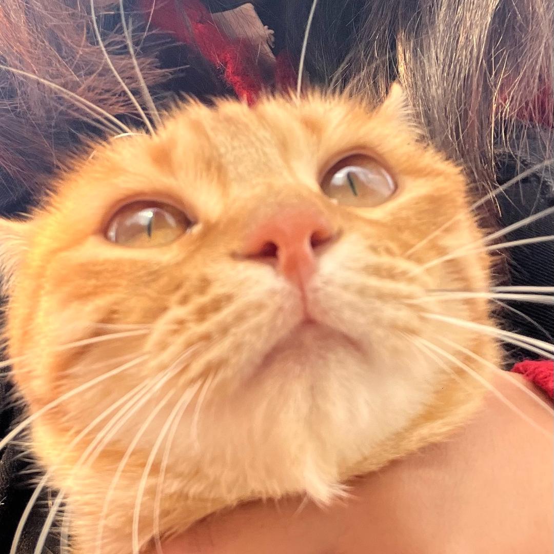 毛毛大侠📸