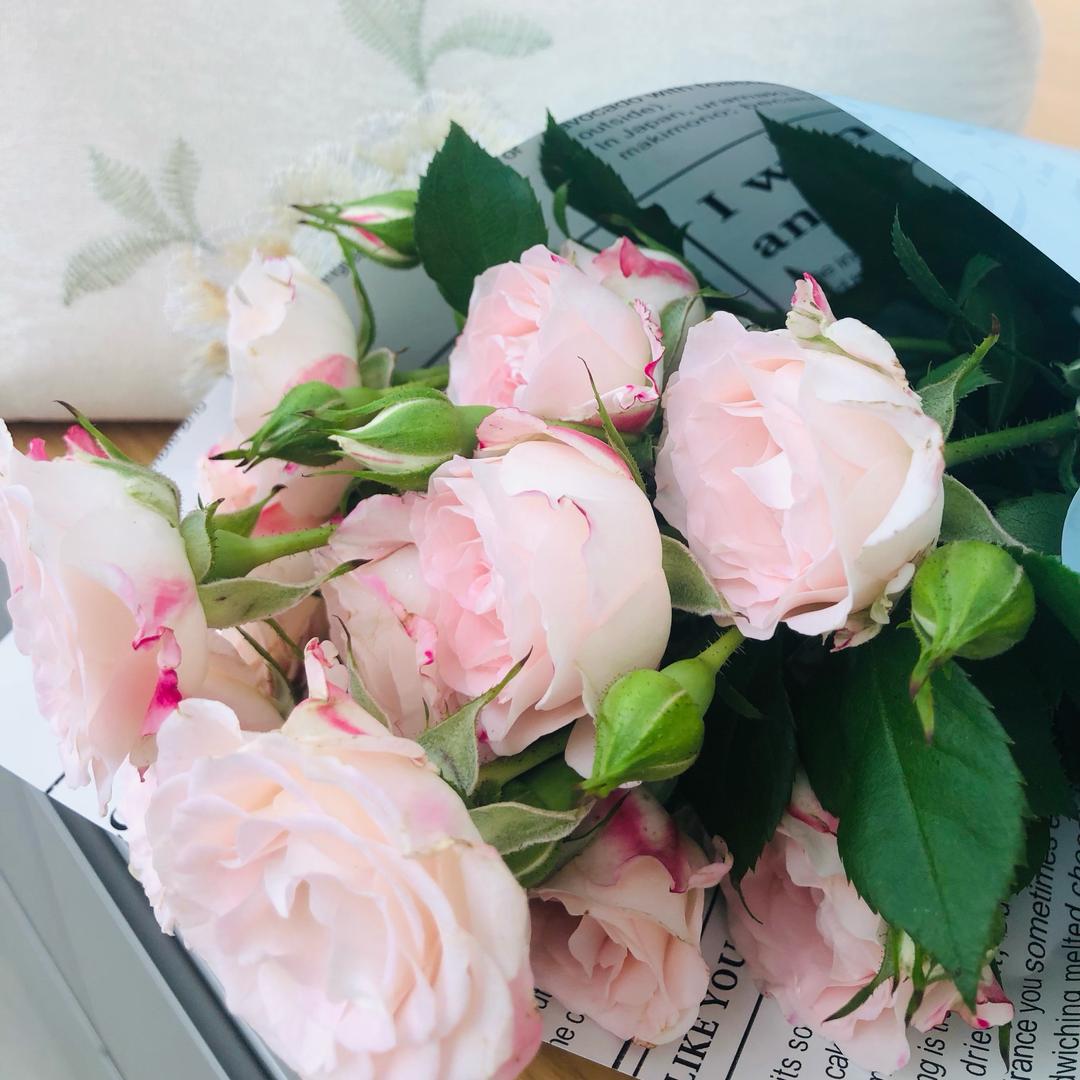 阿涛酱菜
