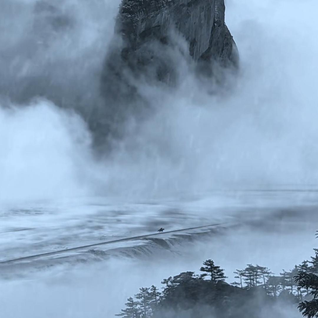 秋叶追枫
