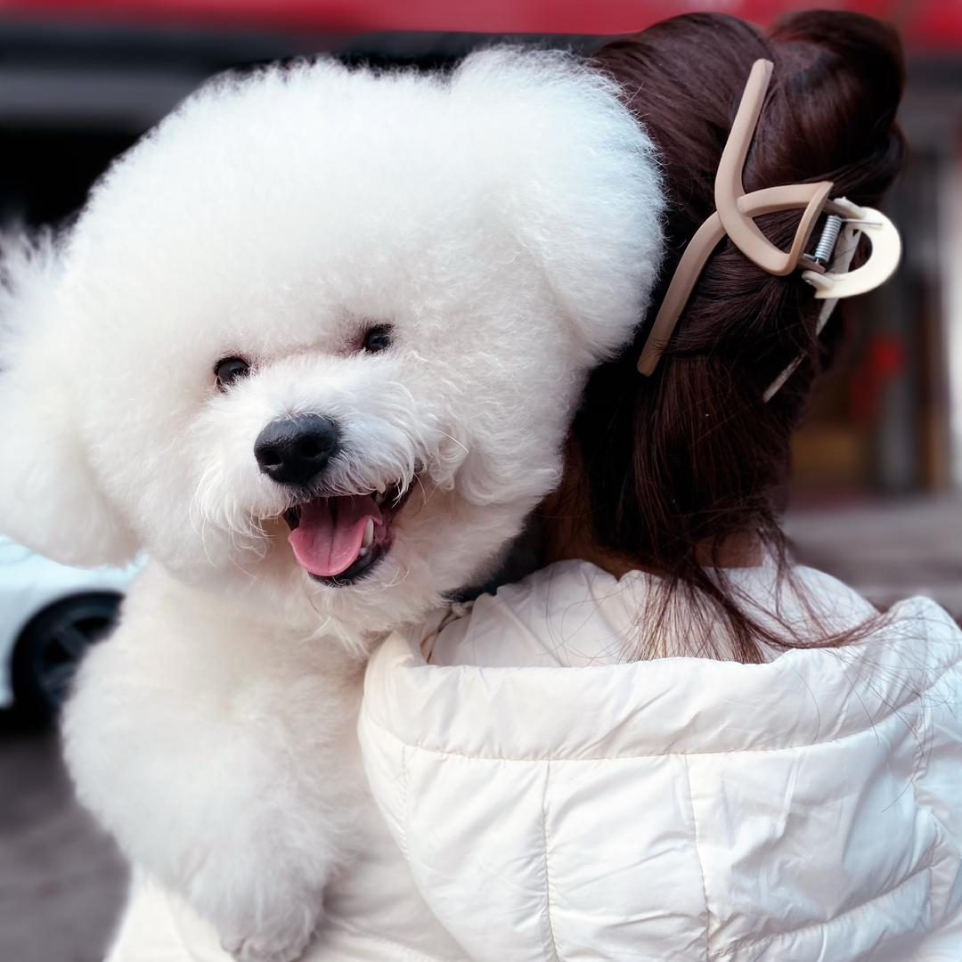 比熊不是熊🐻