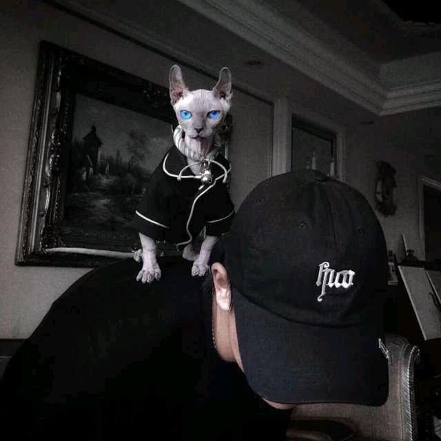 可乐。