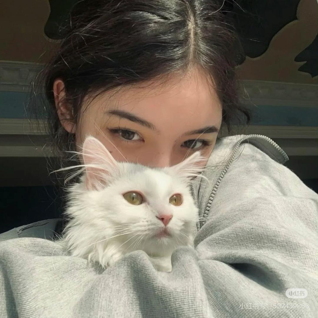 林黛玉～
