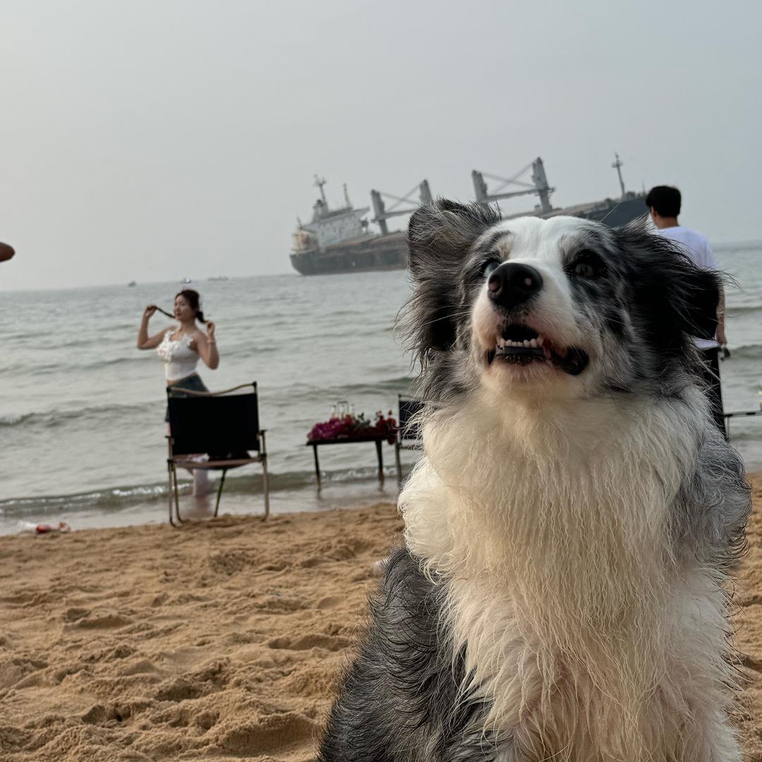 忘了吃饭