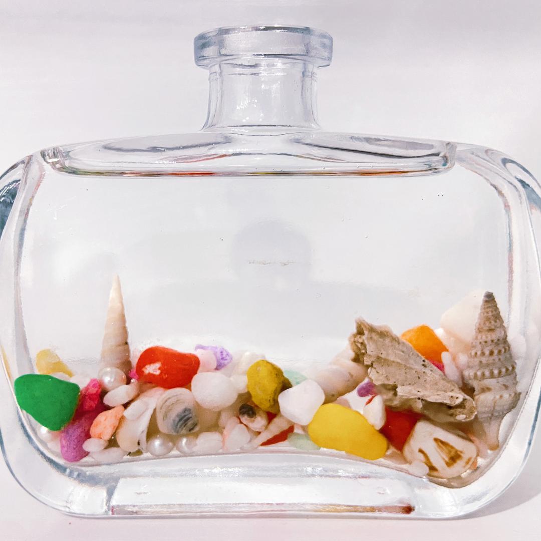 小海螺🐚