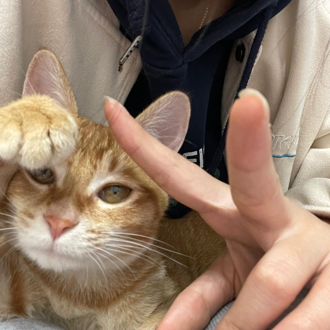 是什么呢