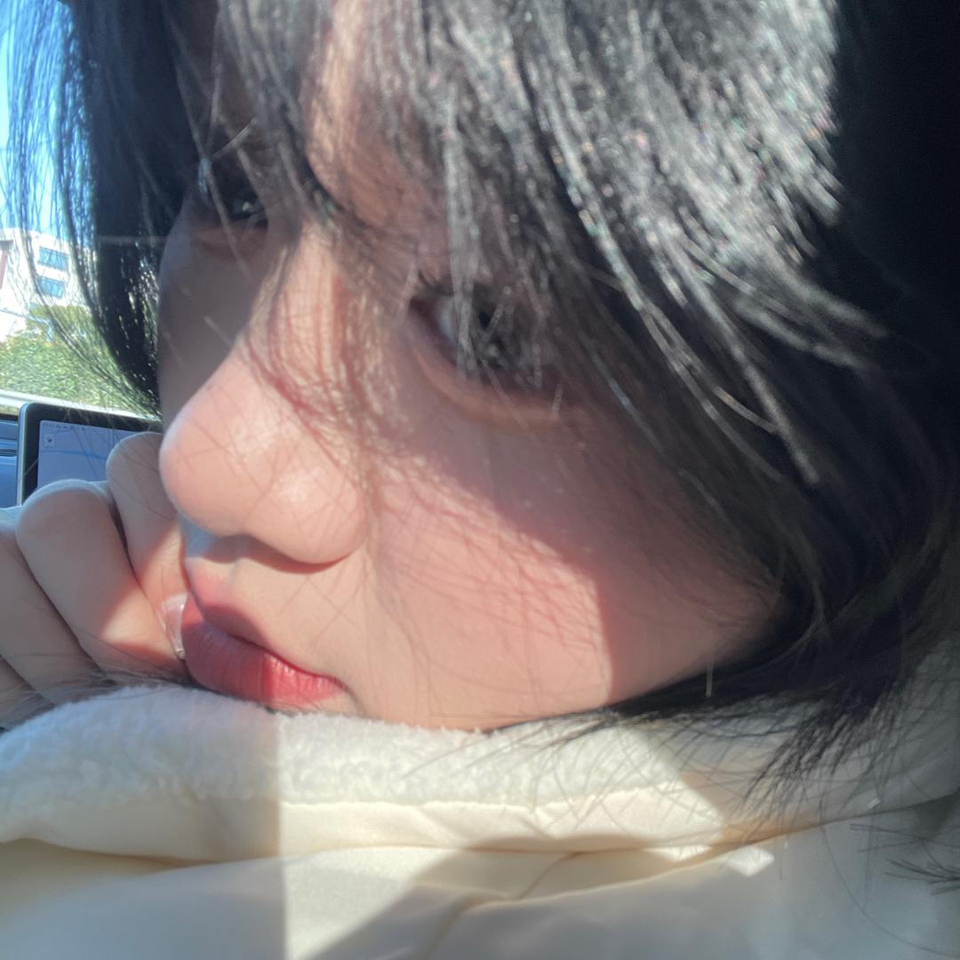 卷心菜✨