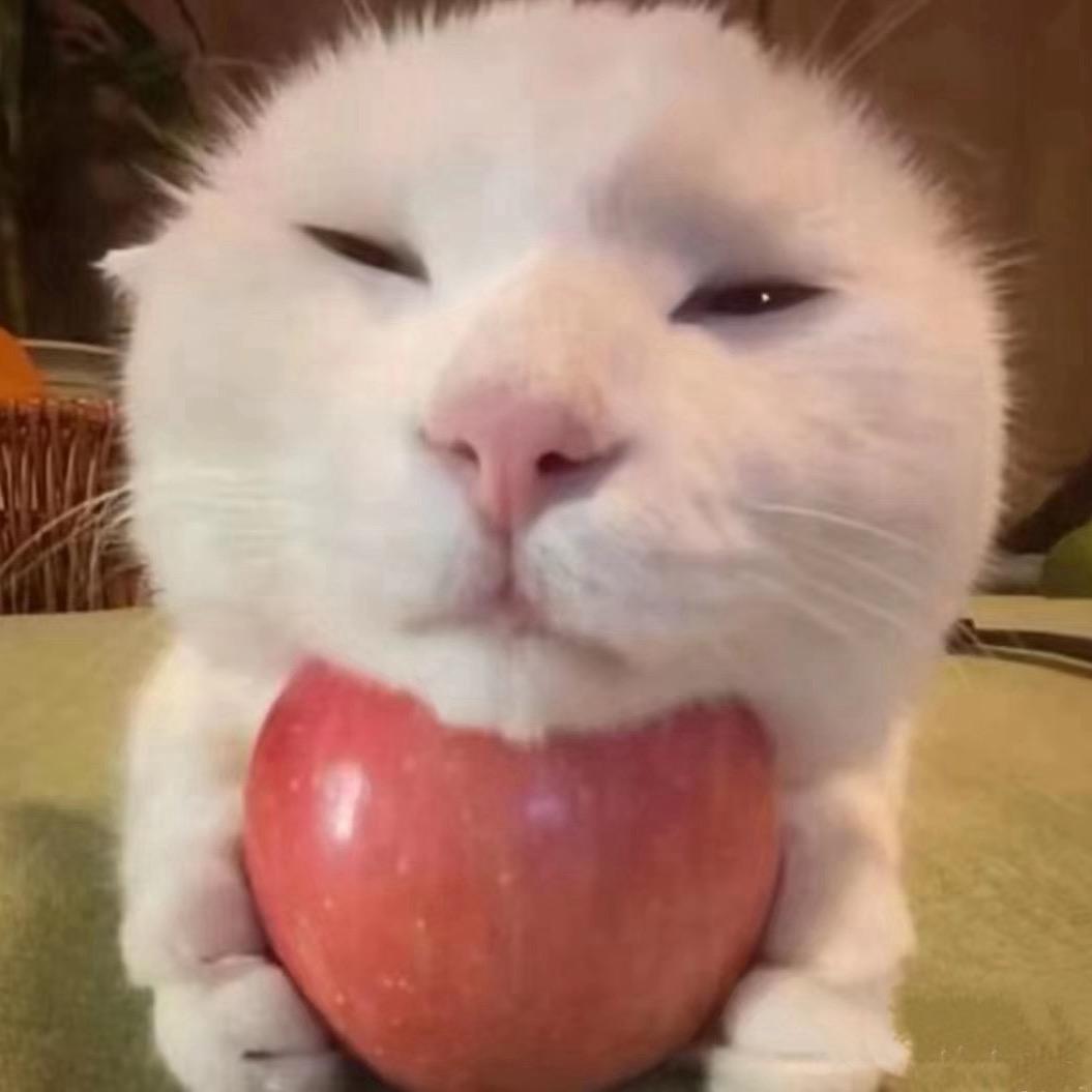 安离lll