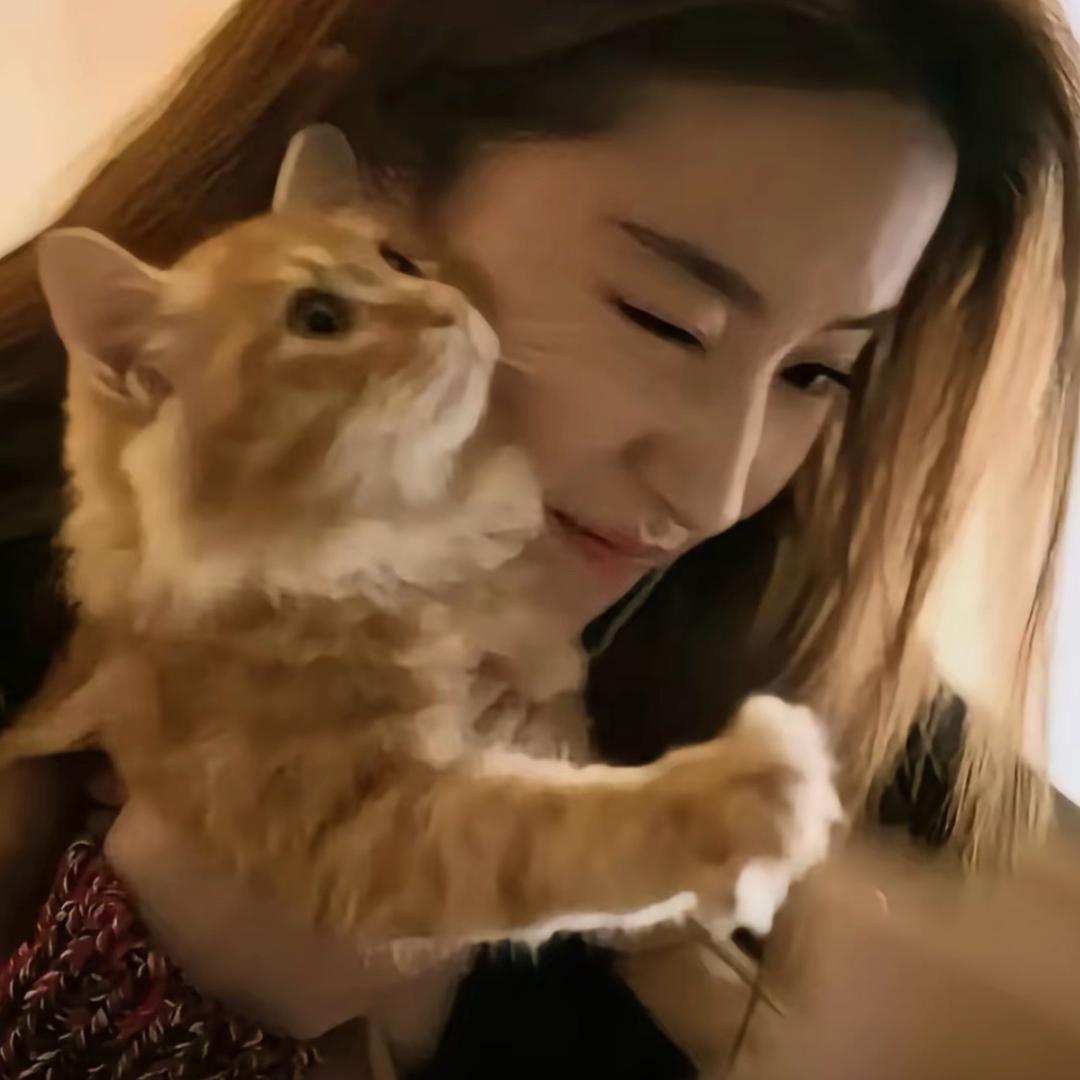 柒.