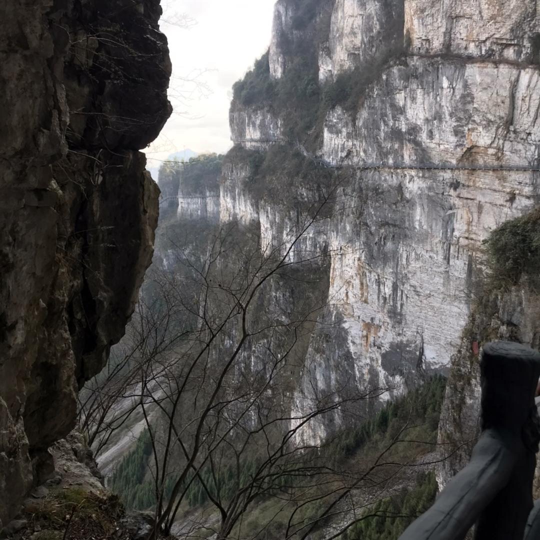 专业石膏线条