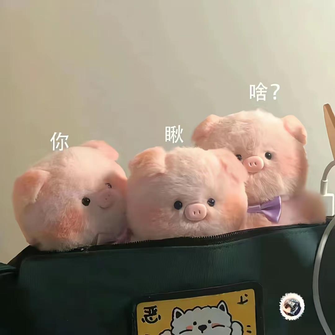蔡小姐的鞋橱