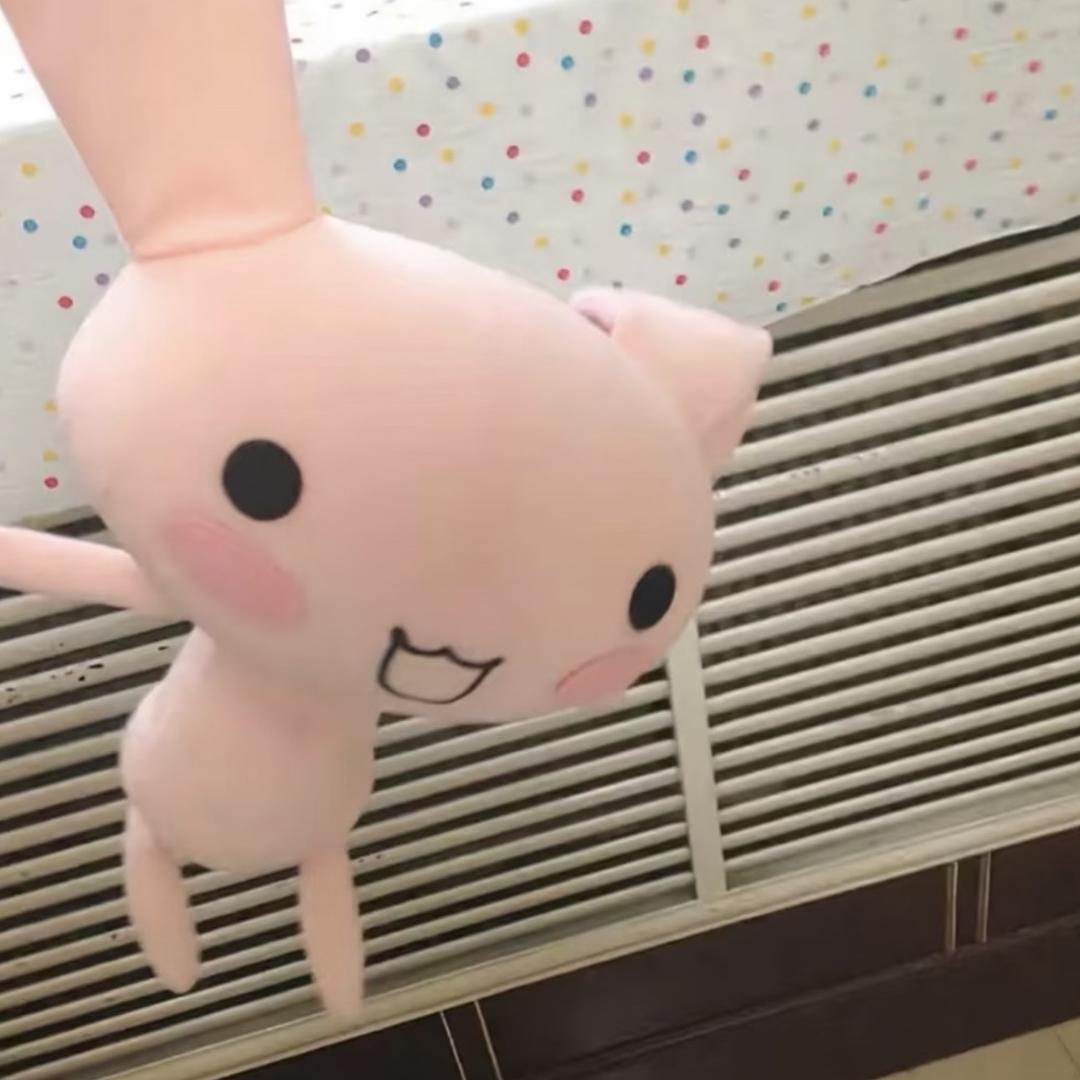 爱子君，爱平儿，爱离婚