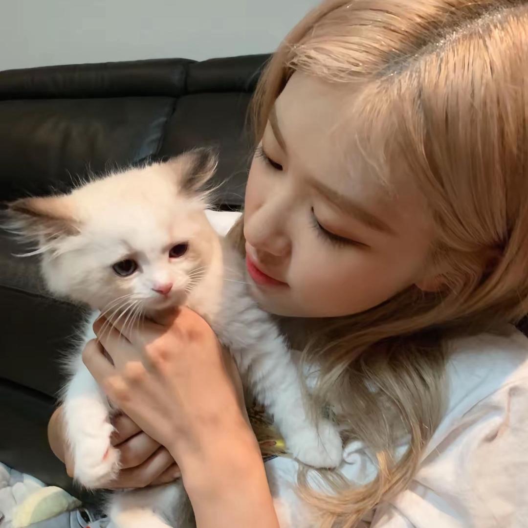 Rosé