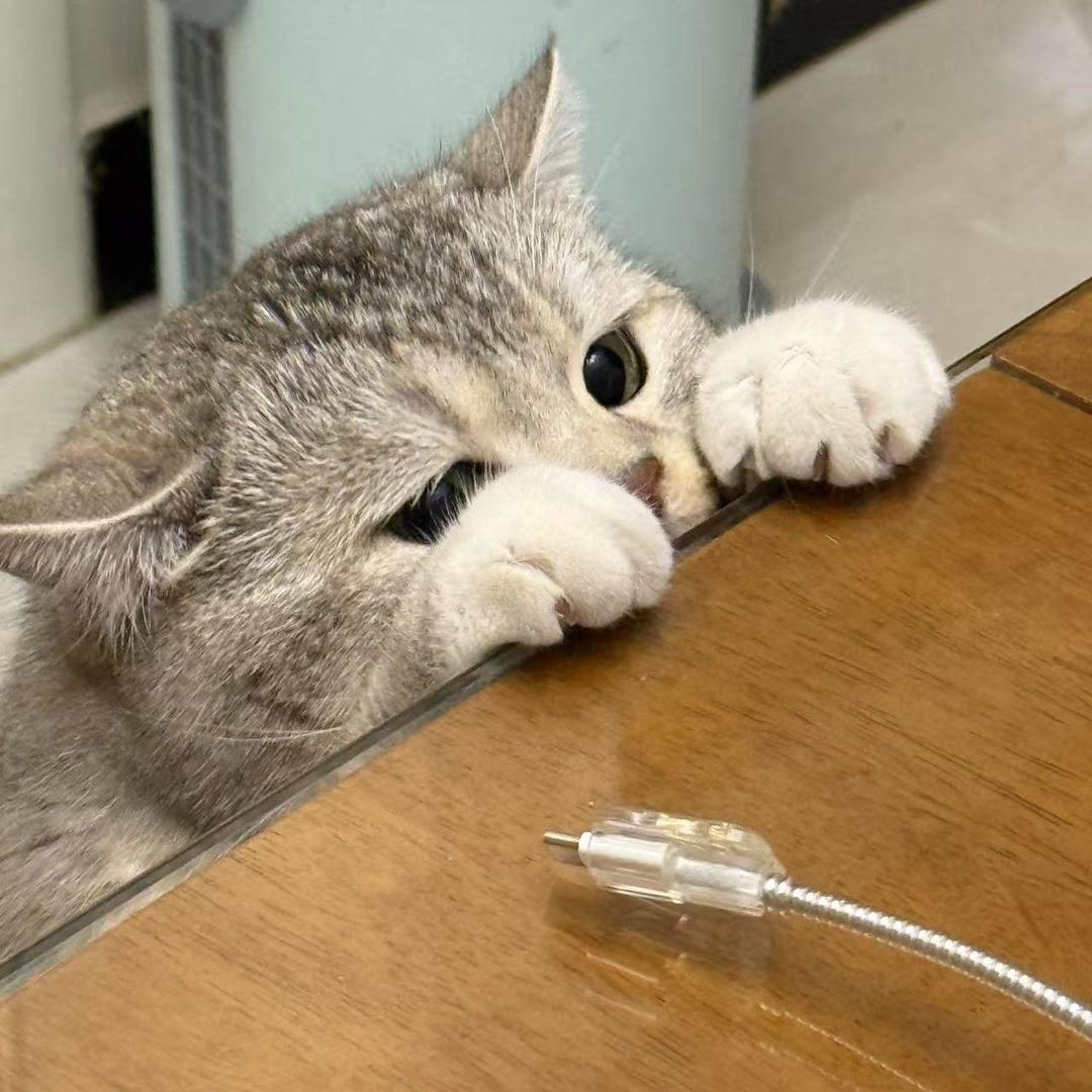 iiiiiiiiiiiiii