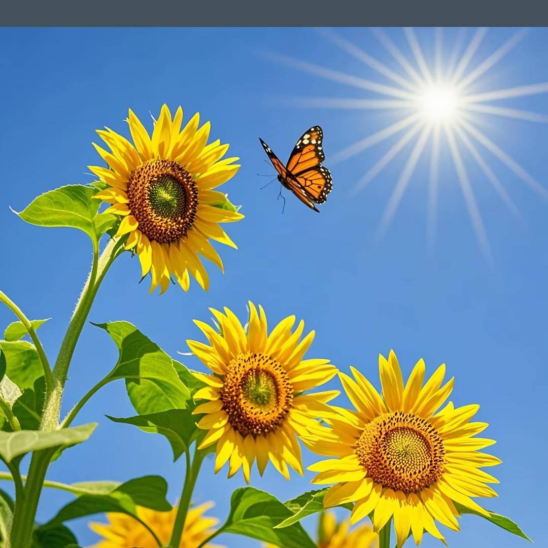 辰发财💰💰💰