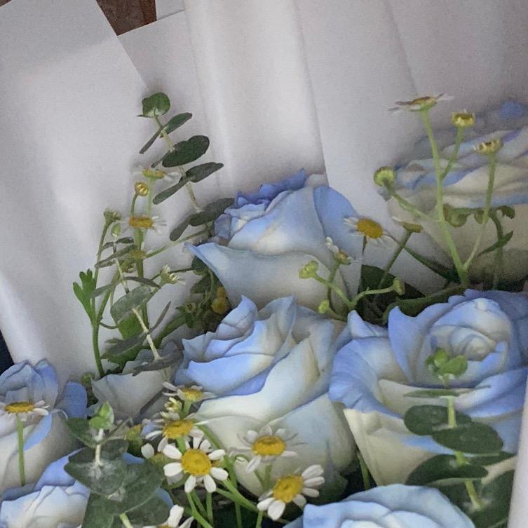 向阳花🌻