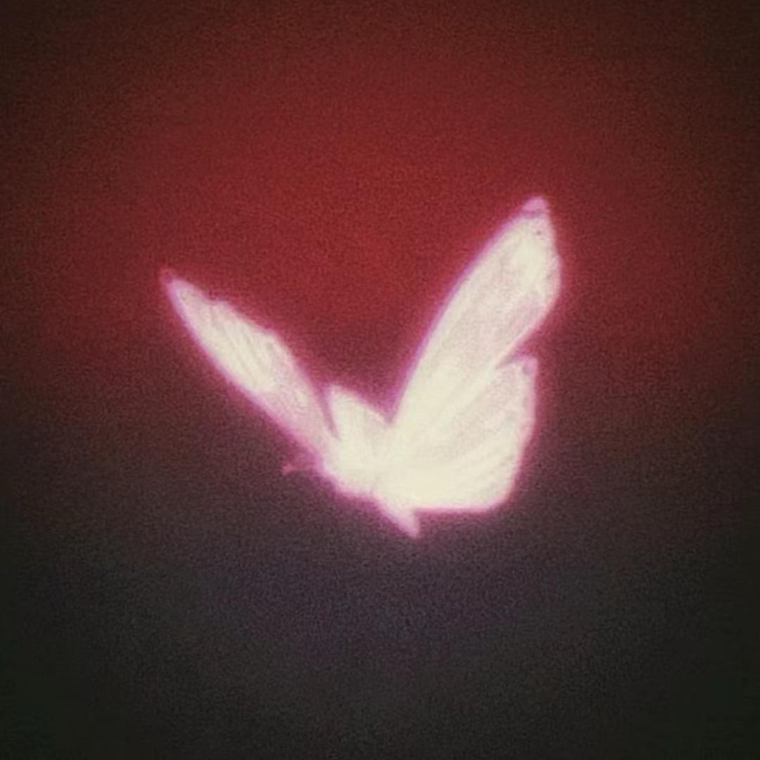 想吃板烧鸡腿堡