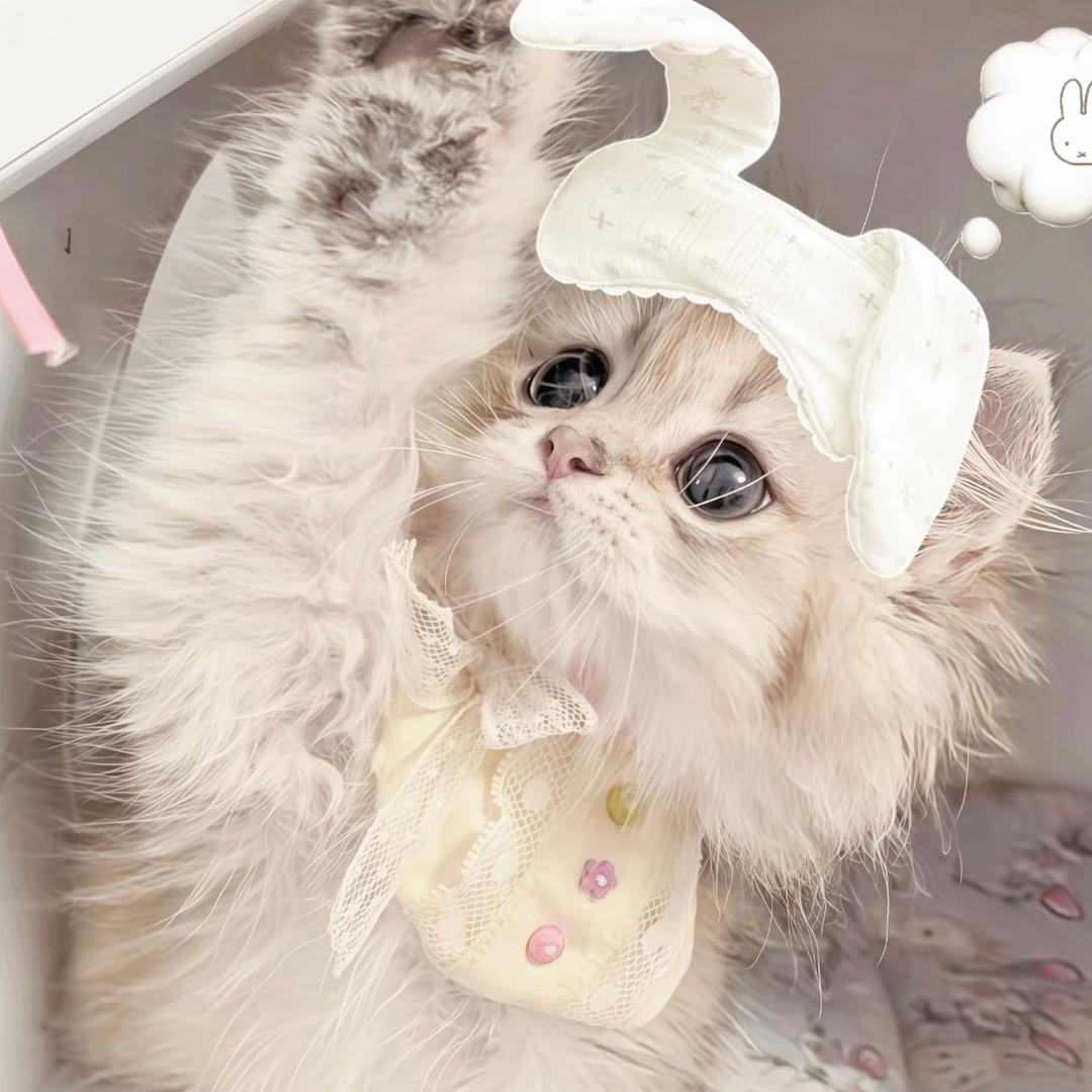 眠眠子