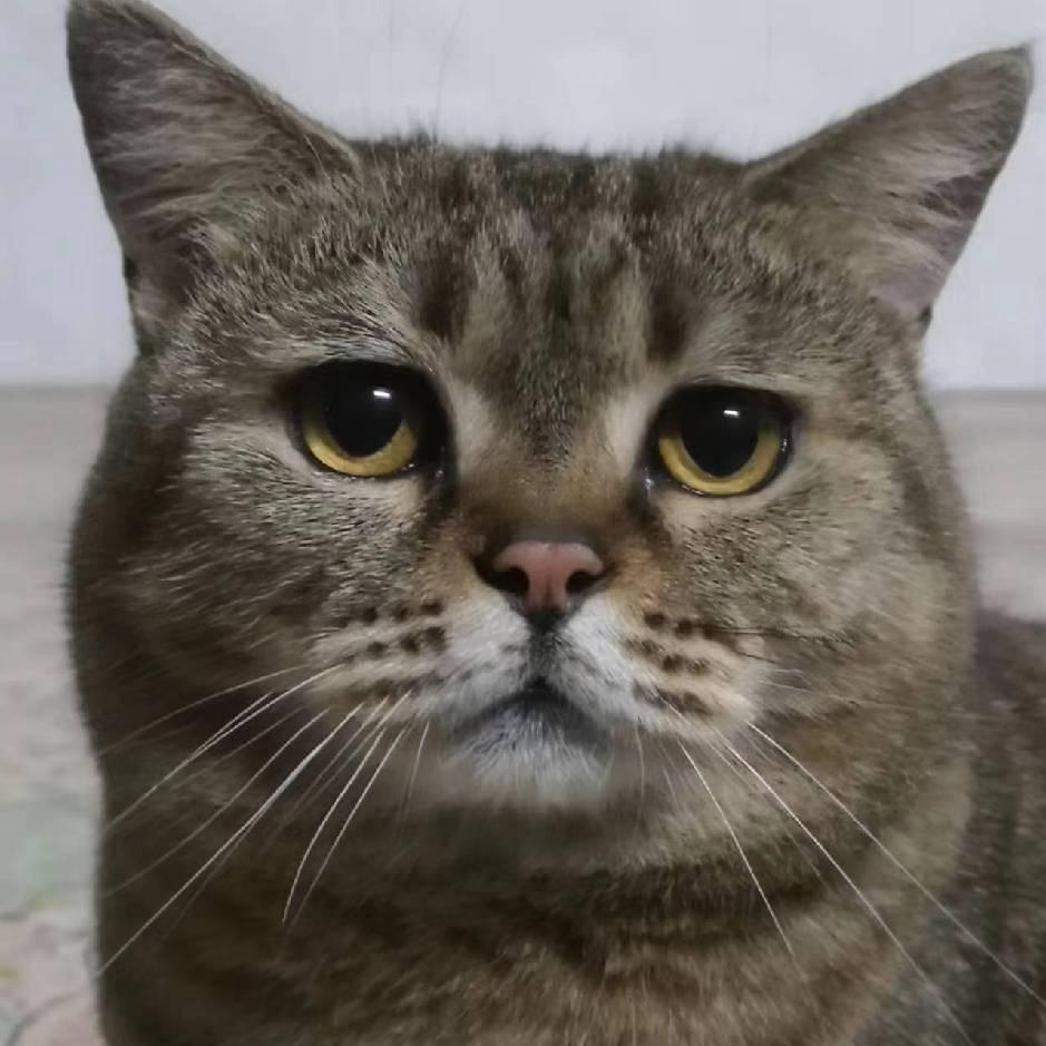 小江