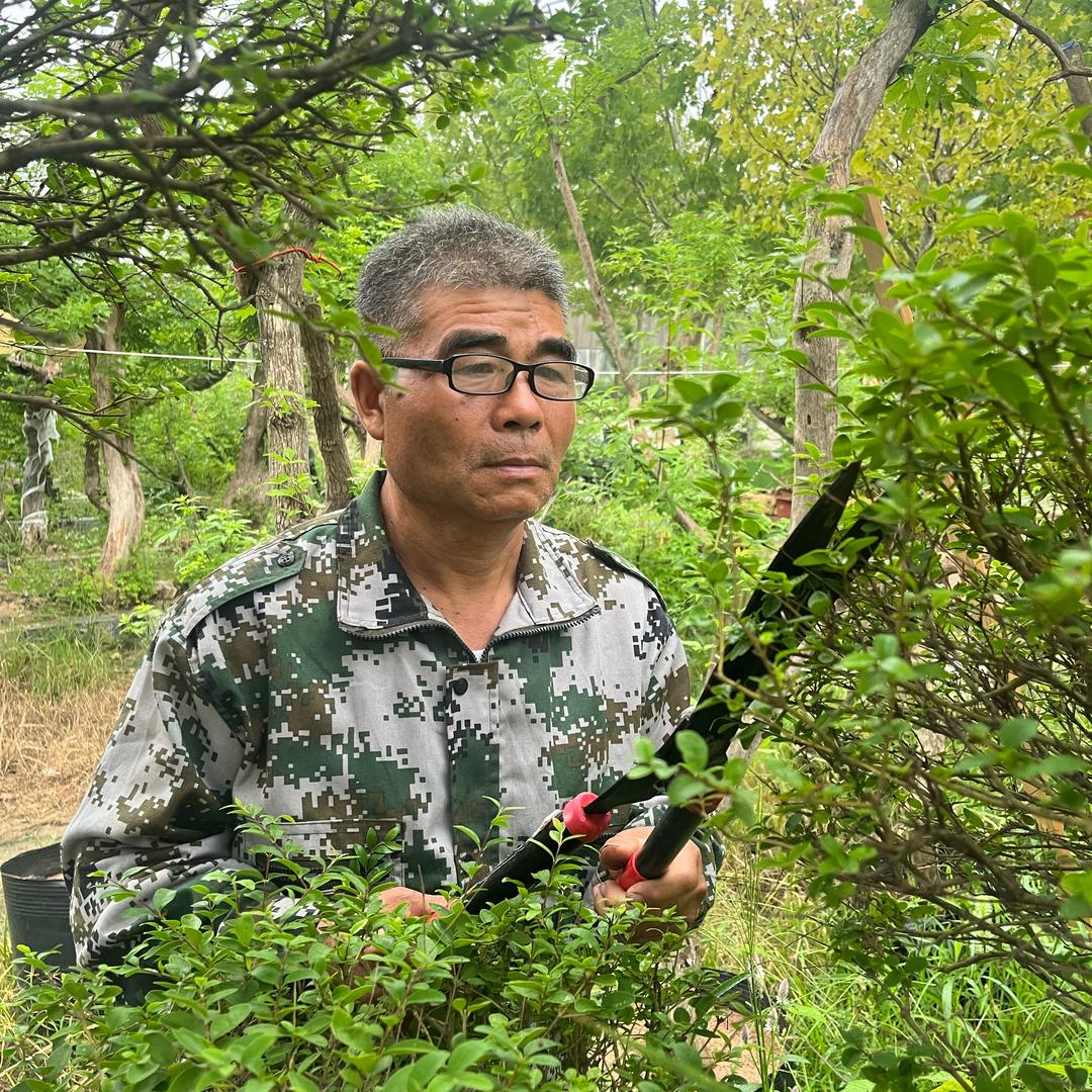 守拙荆匠老孙