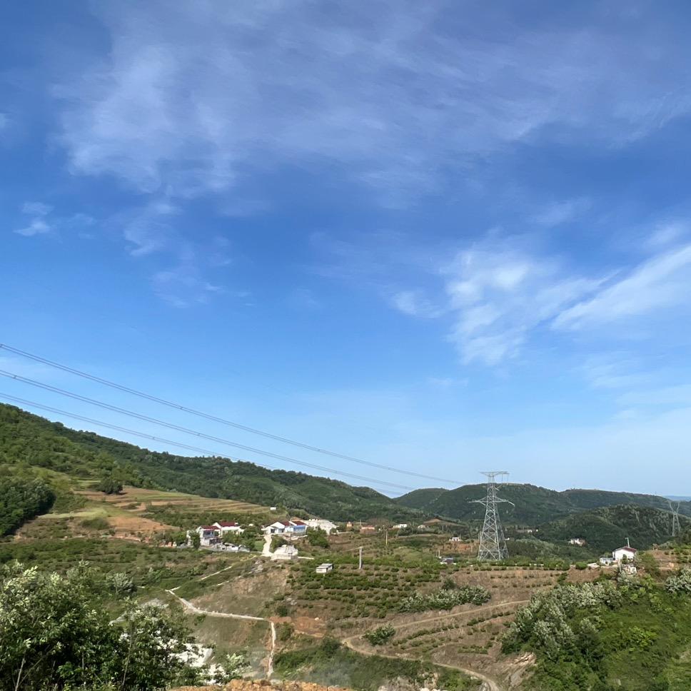 陈救驾来迟呀