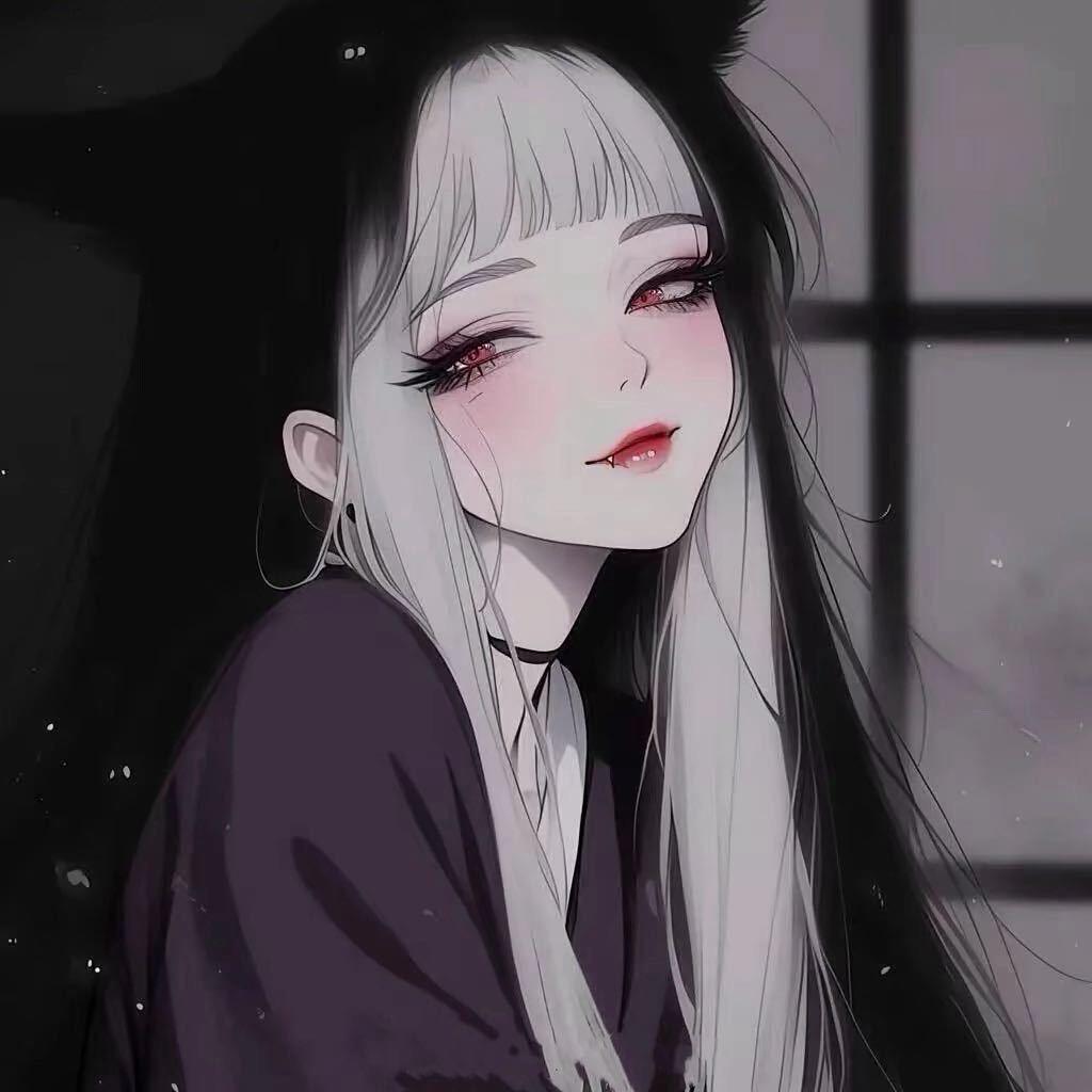喵喵.