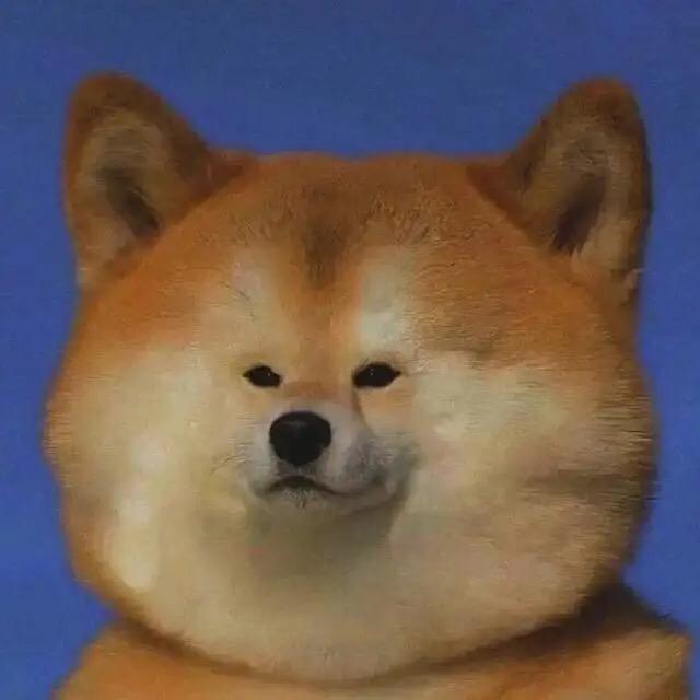 鲜嬢嬢
