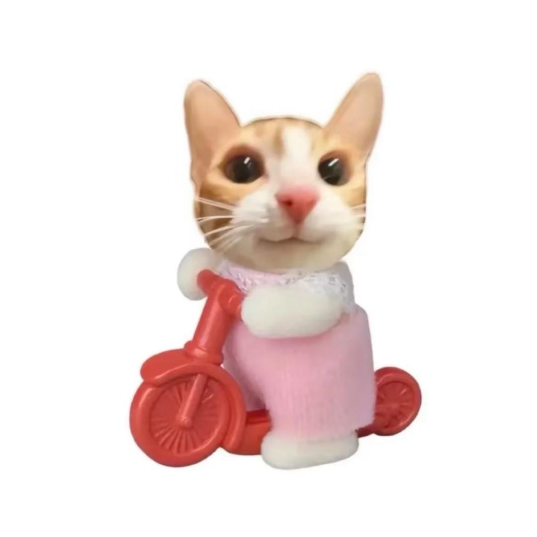 把讨厌的人送去非洲