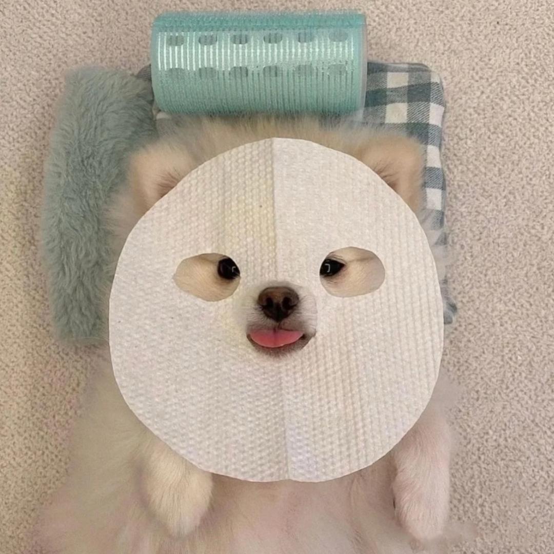 吃饱了睡不觉