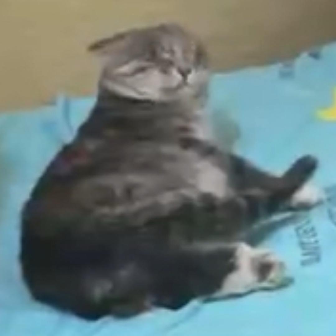 内心充满真善美