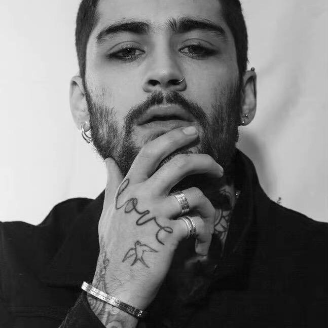 ZAYN🐨