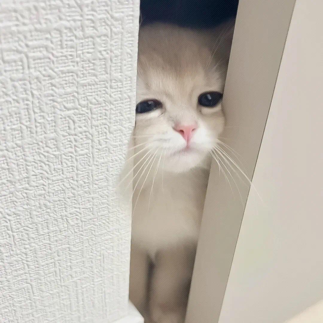 你的脸颊痣