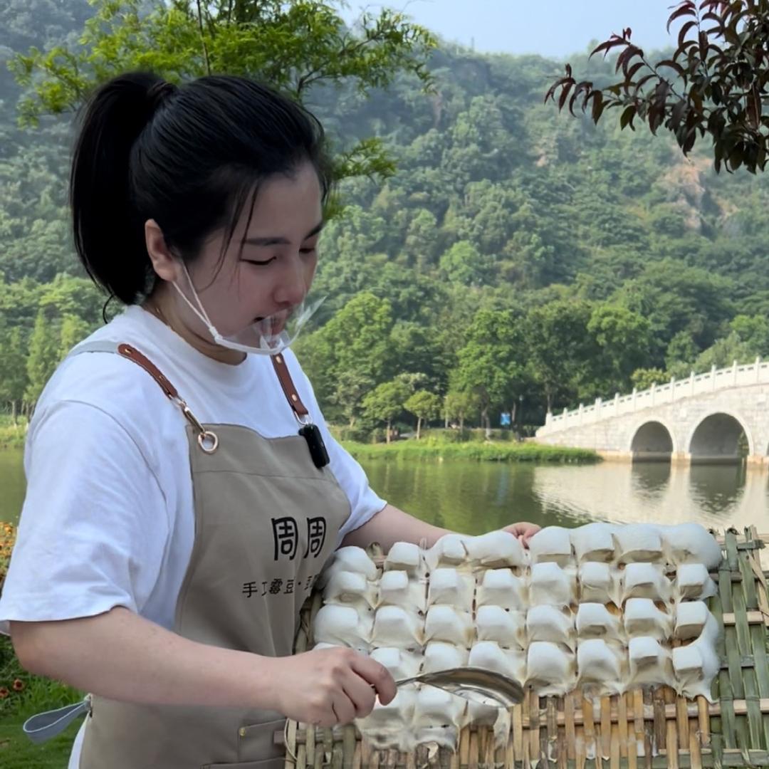 周周传统手工霉豆腐豆腐乳