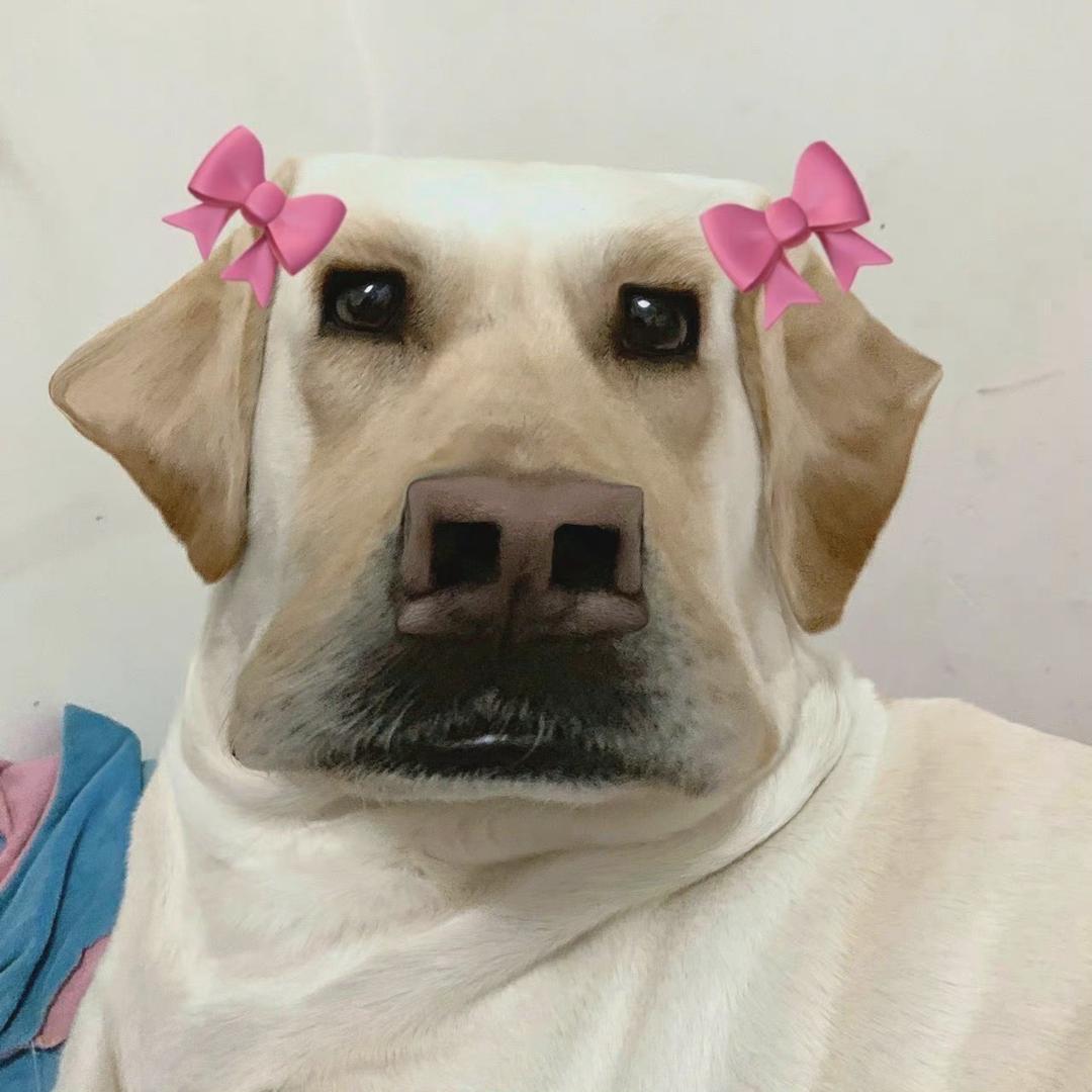 咻咻～