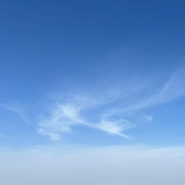 肖信鸿（悟道巴山）