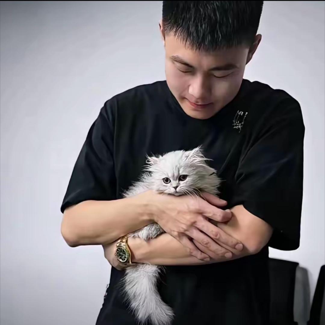 三个壹房产（乐山）