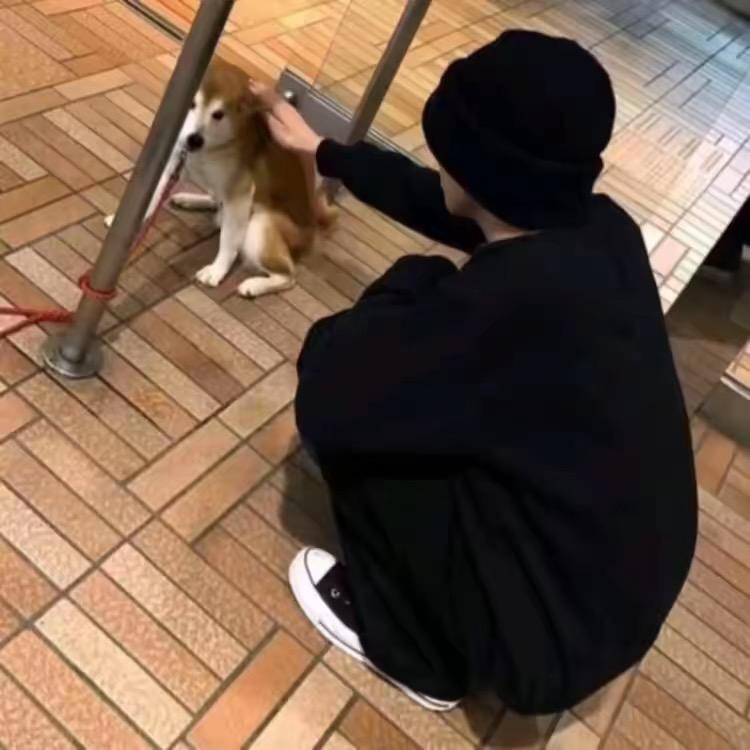 茉莉白的公蟑螂