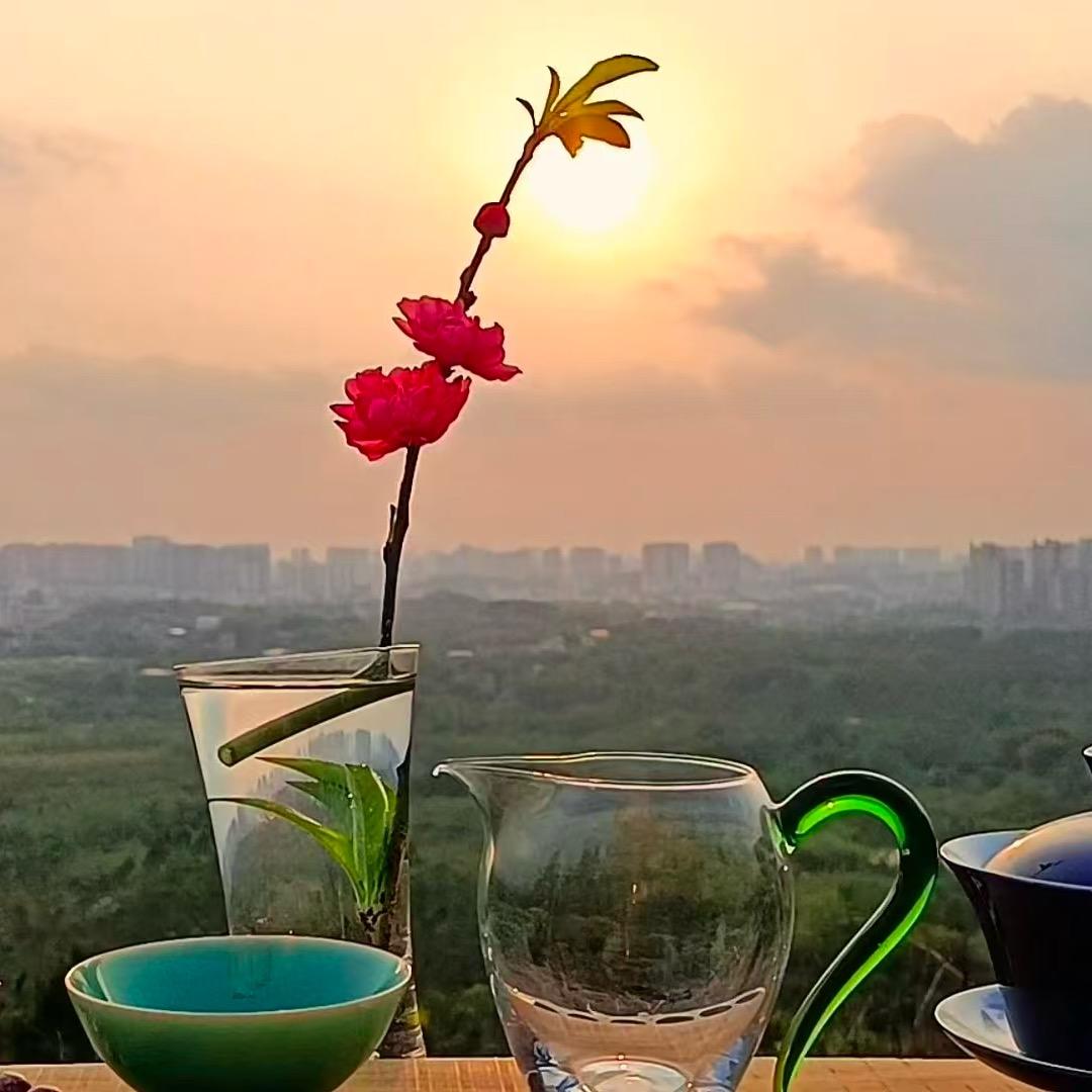 冷峻严谨的谢鸣鸿头像