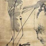 寒塘影观