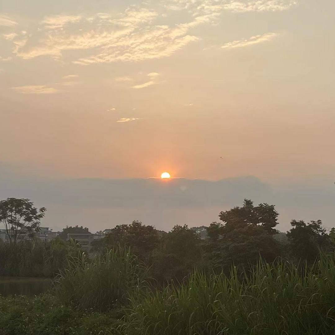 世间唯有你可依赖