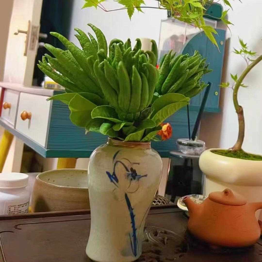 好易安金佛手
