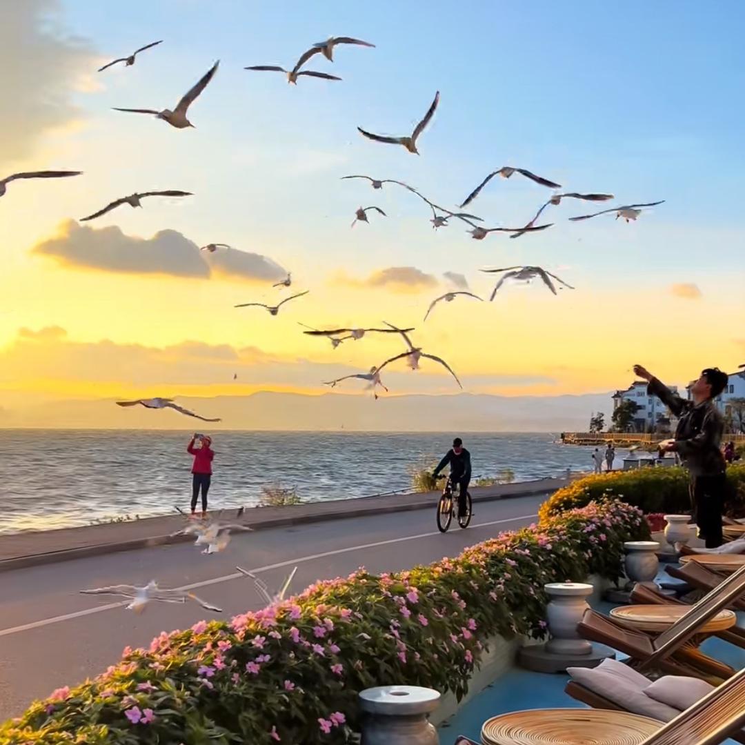 小贝在海口