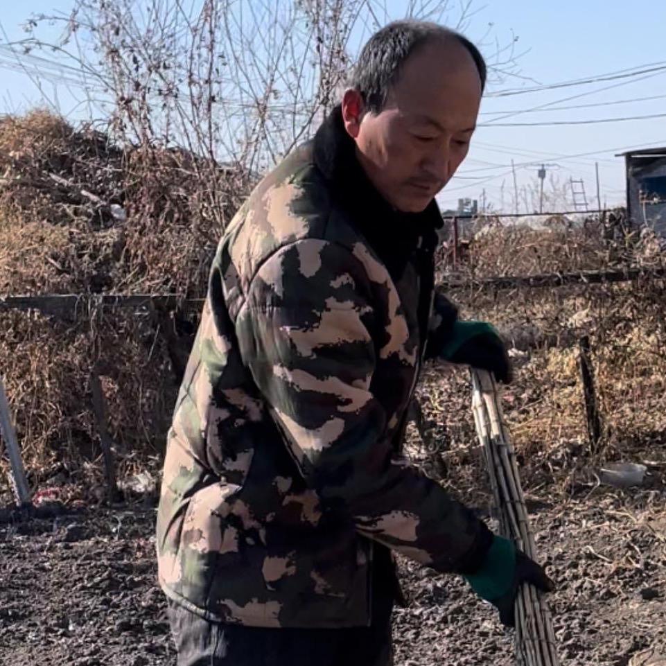 农村张老蔫