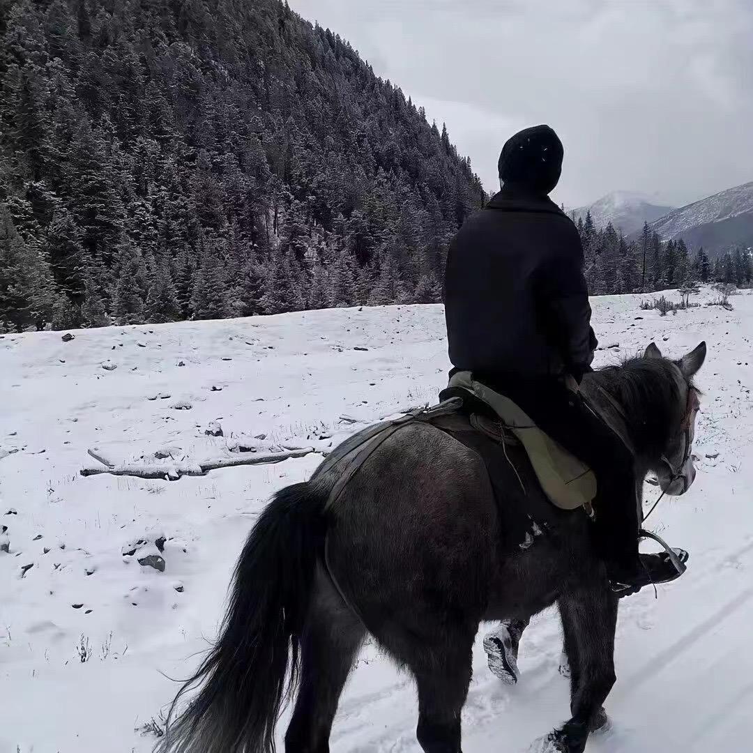 辽A的楷