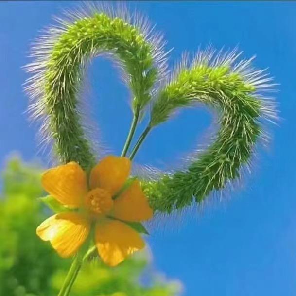 海岸线·连锁轰趴聚会(大芬店)海岸线营销号