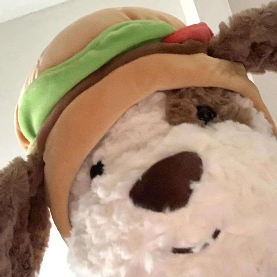 吃着火锅唱着歌