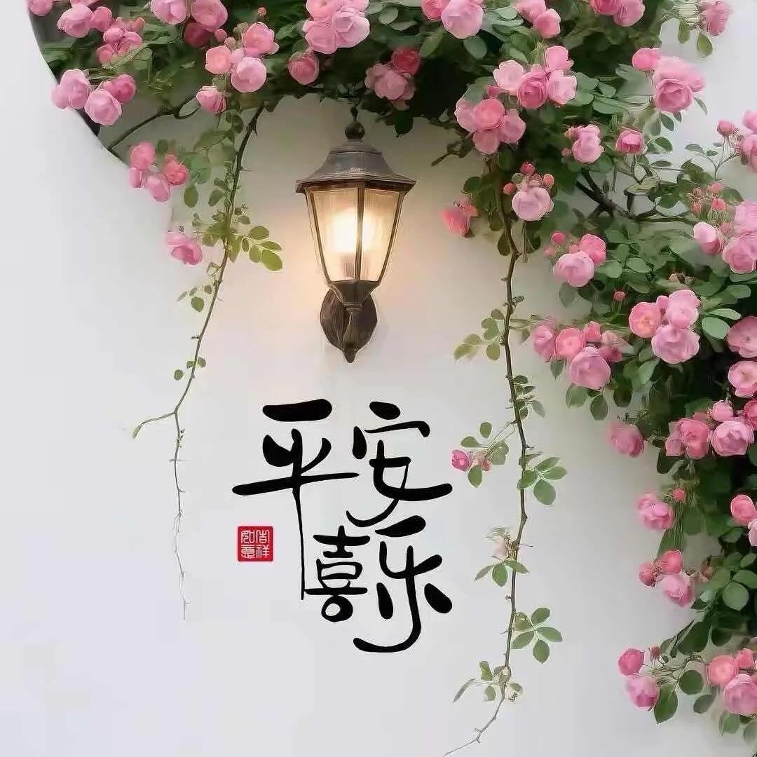 🍀琼🌸