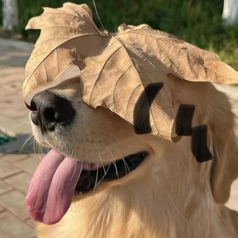 奕