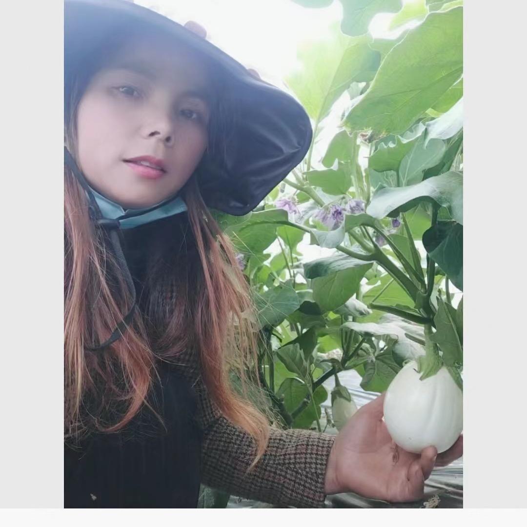 罗墩昊阳农场小店