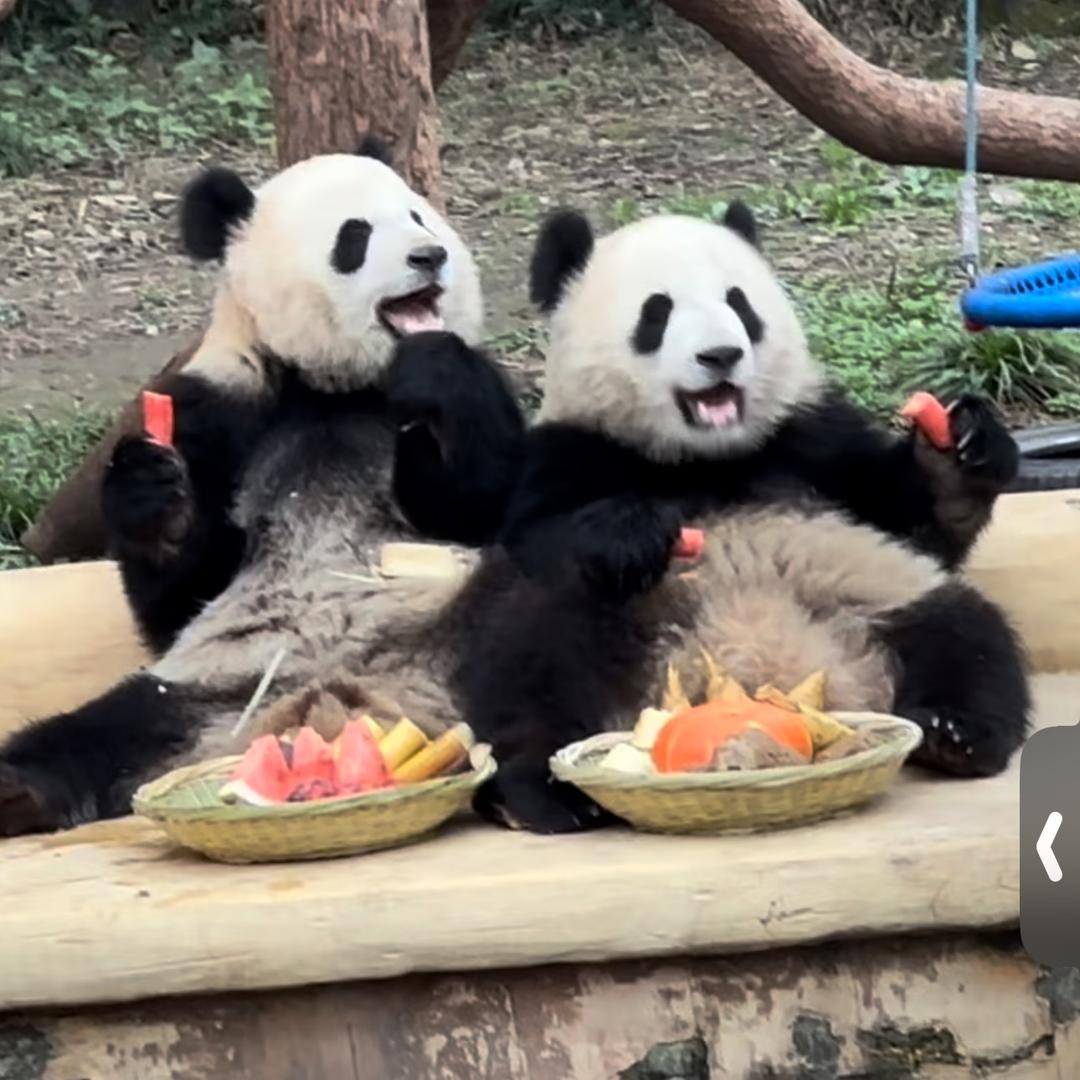 萌⁹⁵⁴可¹²⁸⁴爱¹²⁸⁵🐻‍❄️