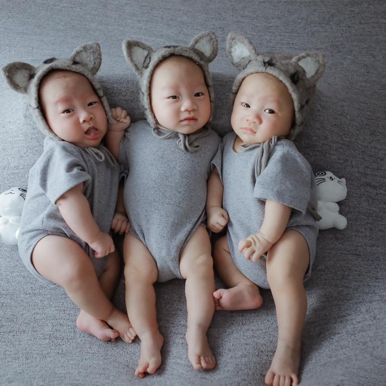 三只小兔叽🐰